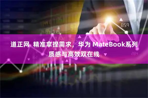 道正網  精準拿捏需求，華為 MateBook系列質感與高效雙在線